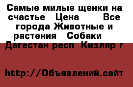 Самые милые щенки на счастье › Цена ­ 1 - Все города Животные и растения » Собаки   . Дагестан респ.,Кизляр г.